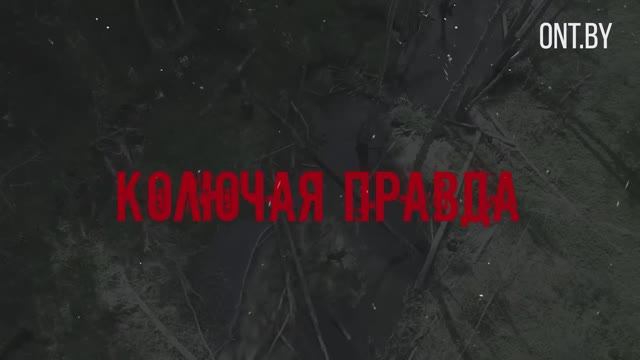 ПОЛЬСКАЯ РУЛЕТКА. Кто на самом деле заманивает беженцев в ЕС? Граница Беларуси | Колючая правда
