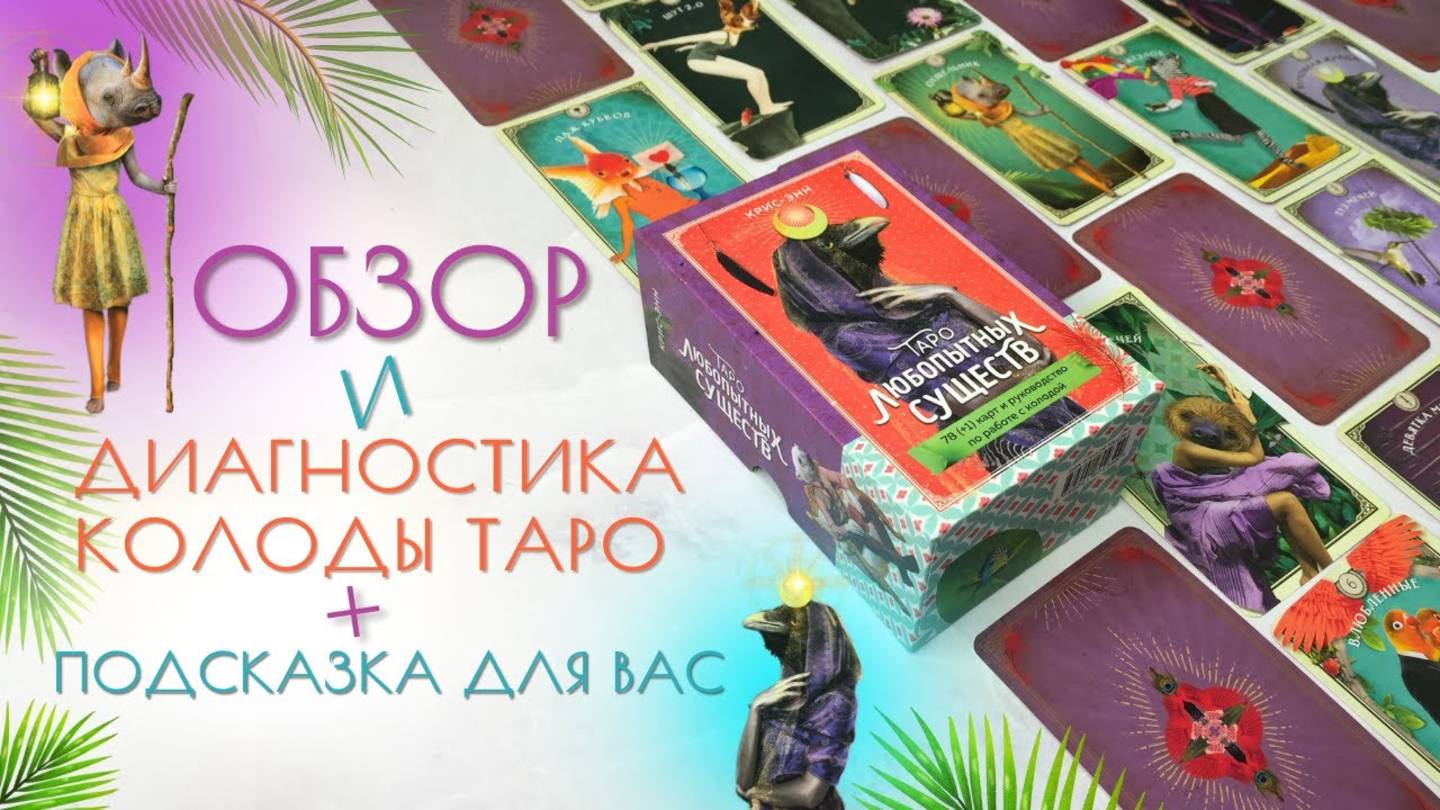 🔎 Эта колода таро удивит вас! Обзор Таро Любопытных существ от Эксмо
