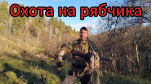 ОТКРЫЛСЯ ПО БОРОВОЙ ДИЧИ . ТАКОЙ ОХОТЫ НЕ БЫЛО ДАВНО . РЯБЧИКИ ВЫЛЕТАЮТ ИЗ ПОД НОГ .