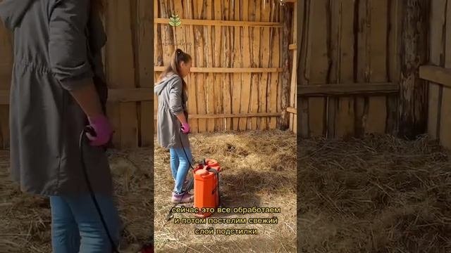 ЛПХ Андрюшкино о применении ЭМ-ВИТА от запаха в денниках и для повышения иммунитета лошадей