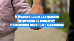 В Подмосковье задержали курганца за попытку похищения девочки в Балашихе