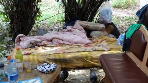 «НОЧЛЕЖКА ПОД ОТКРЫТЫМ НЕБОМ»