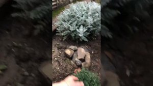 Трансляция с ютуб. (01.10.25)