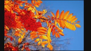 Октябрь, конечно, маем не был... Иосиф Уткин.