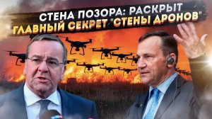 Новый "Вал Адриана": В ЕС придумали, как проиграть технологическую войну с помощью бюрократии