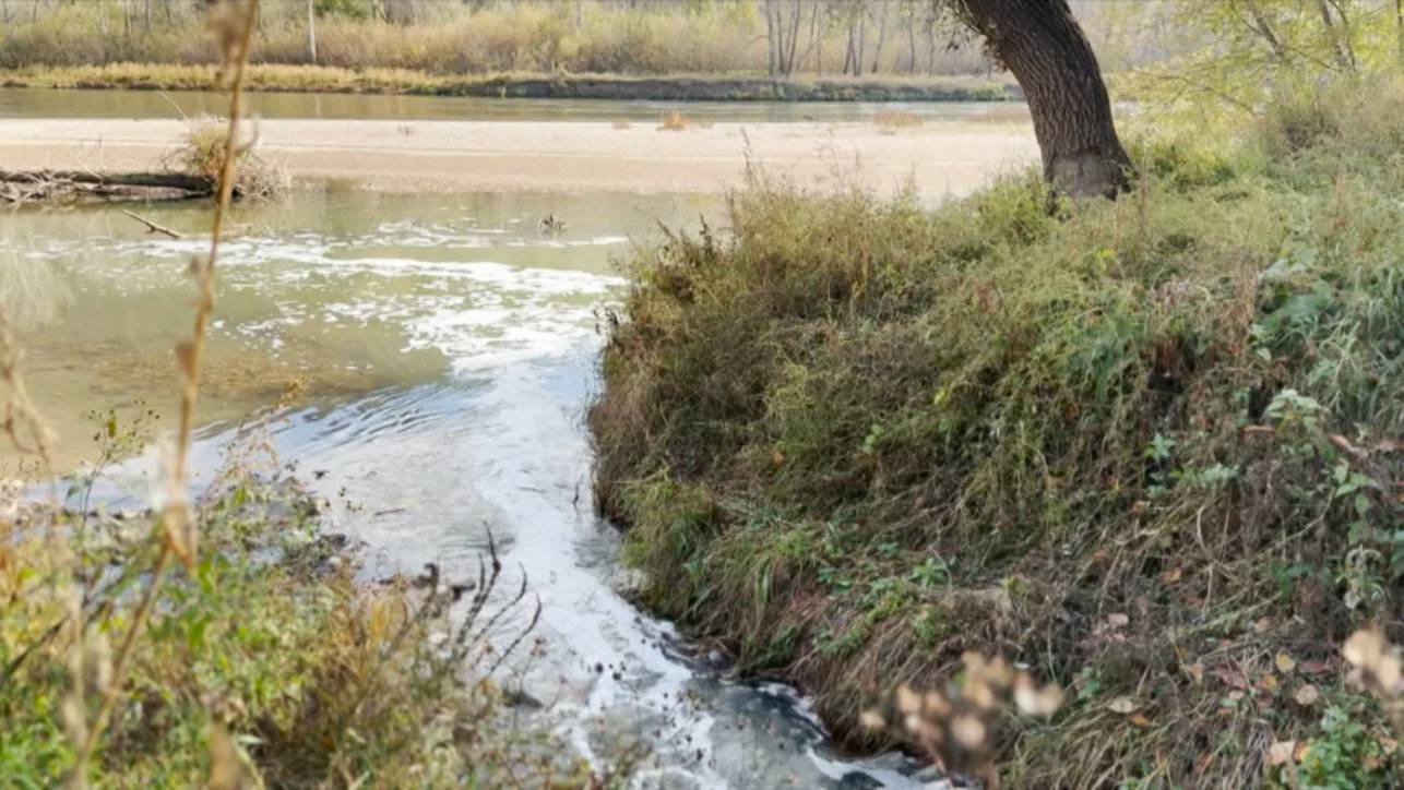 Грязное дело: очистные сооружения на Волге и Байкале не работают в полном объеме
