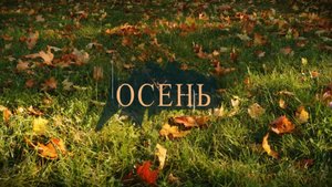 Рязань. Осень. 2025