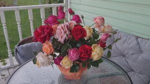 Завершающий букет роз , заморозки 3 день, всё замёрзло и повисло 02.10.25!