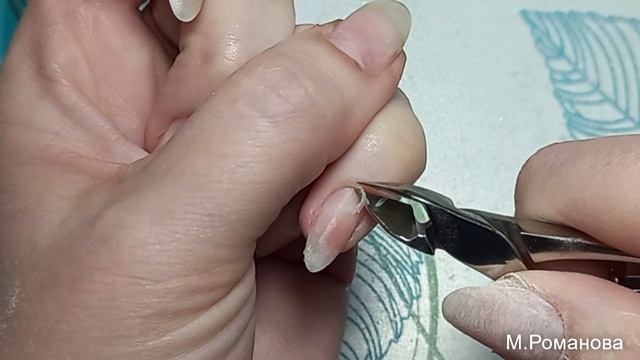 Сама себе мастер! Маникюр для себя. Сухоцветы в дизайне