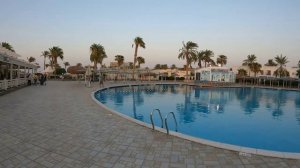 Египет 24 августа 2025