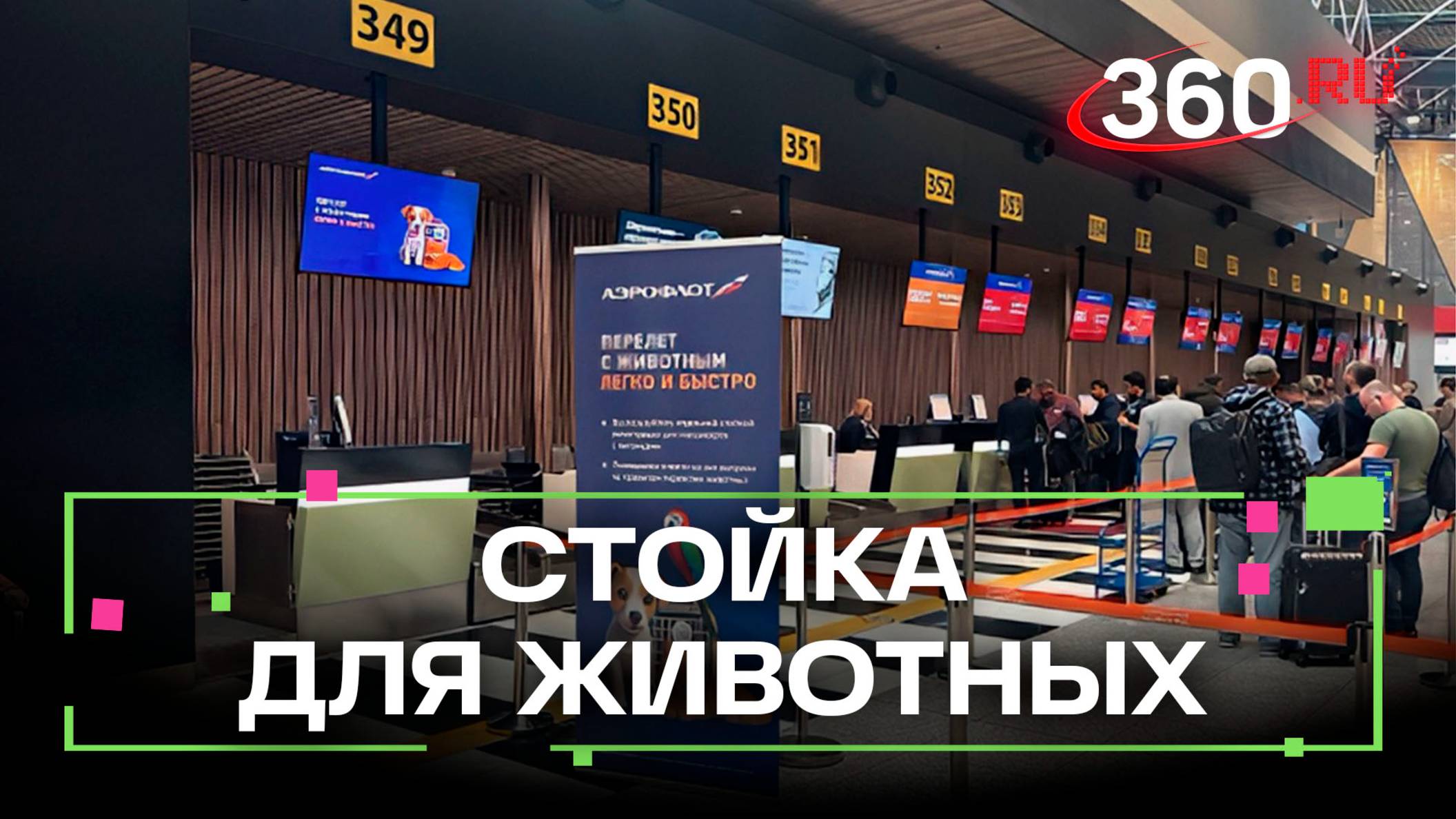 В аэропорту Шереметьево появилась стойка регистрации для животных