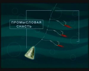 Какие снасти используют на Камчатке для ловли Однопёрого терпуга — Pleurogrammus monopterygius ?
