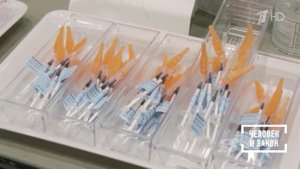 Биолаборатории на Украине. Человек и закон. Фрагмент выпуска от 03.10.2025