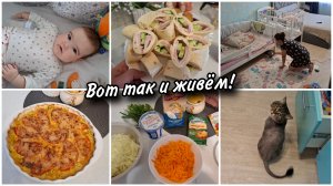 👩🍼За Миленой глаз да глаз. Пылесос мой выручает. Супер лёгкая запеканка из кабачков.🥘