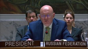 Statement by Vassily Nebenzia at UNSC Briefing on Colombia