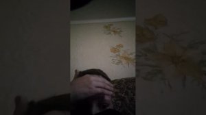 комментирую тт