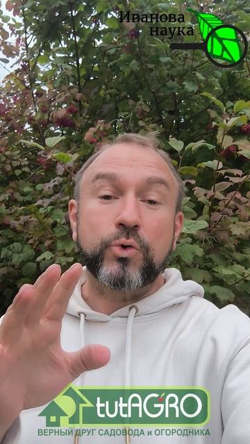 ЭТОТ ПОРОШОК ДЕЛАЕТ ЗЕМЛЮ ПЫШНОЙ КАК СВЕЖИЙ ХЛЕБ и без перекопки!