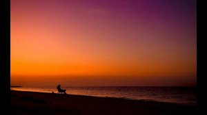 Поскольку время есть безценный дар (Suno AI)