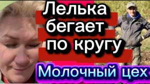 МÓлодец и молодуха🤣🤡Деревенский дневник.