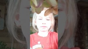 я делаю домики и в прошлом видео я а а а а хочу а