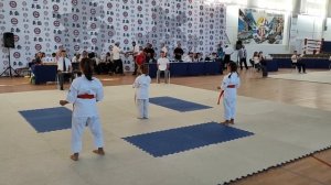 Ката группа Тайкиоку соно ич Знаменский