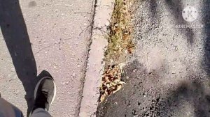 вызвал Слендермена 2 часть