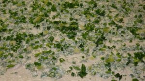 Луково-чесночные завитушки