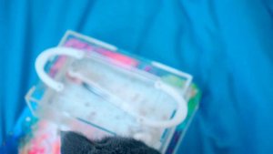 У НАС НОВЫЕ ПИТОМЦЫ! РЕАКЦИЯ БАТТЕРС И ЭЛИС