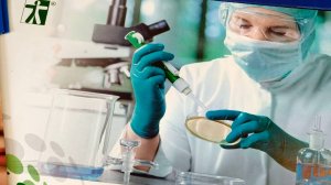 🌟 За кулисами: 13-я конференция по сверхкритическим флюидам в Костроме!