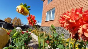 🌟 Ваш новый дом — это место, где мечты становятся реальностью! 🏡