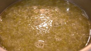 Лаймовый сорбет