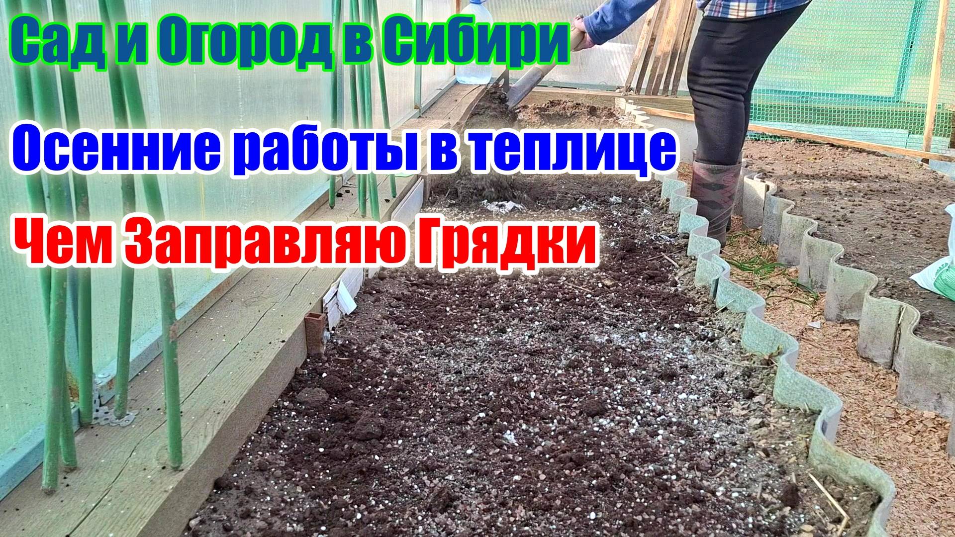 Подготовка грядок к следующему сезону.Чем заправляю грунт против болезней и вредителей сада.