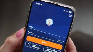 Россиянам назвали порядок действий при подозрении на ошибку в налогах