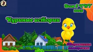 Куриные истории