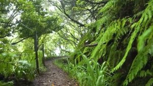 Песня для отдыха Тишина внутри