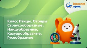 Биология 7 класс. Класс Птицы. Отряды Страусооборазные, Нандуобразные, Казуарообразные, Гусеобразные