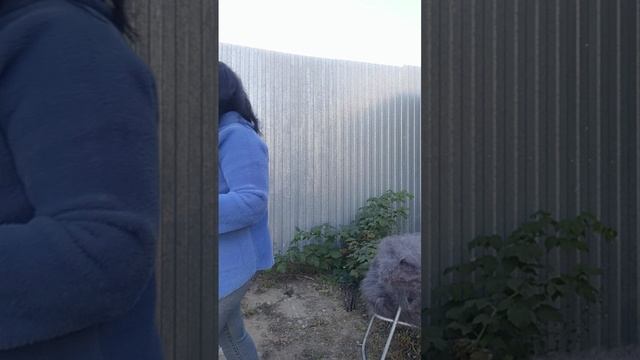 1000212952.mp4Пуховый обзорчик.т.89020931602 смотреть онлайн