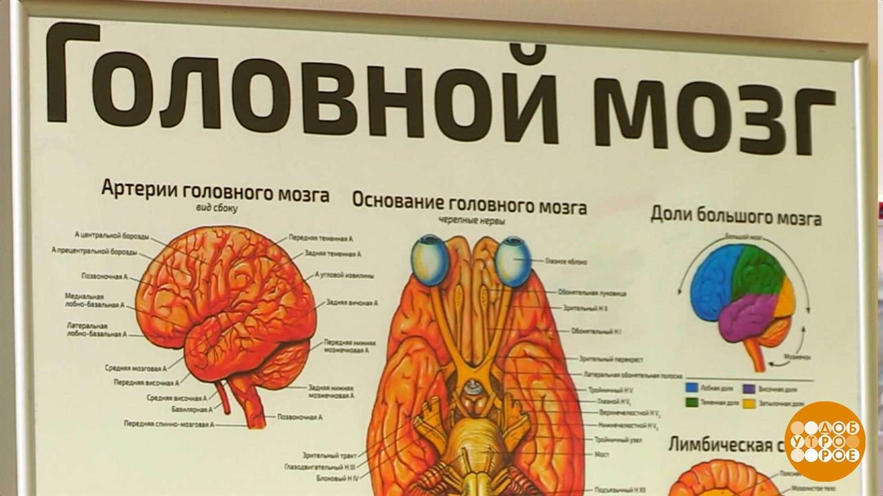 Эксперт объяснила, почему осенью может начать кружиться голова