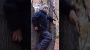 исследуем большое поле на горе тай....