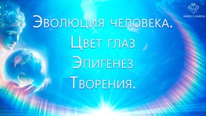 Эволюция человека. Цвет глаз. Стихии. Эпигенез творения