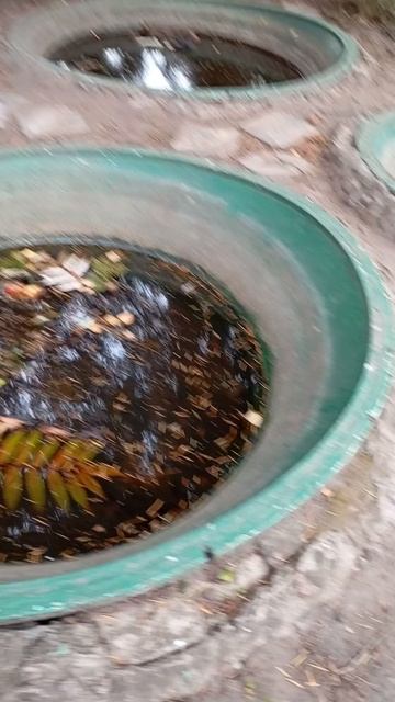 1000015122.mp4 смотреть онлайн