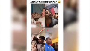 Попробуй не засмеяться, угарные видео приколы )))