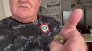 поймал птенца