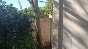 Кабардинка Старый парк красивейшее место