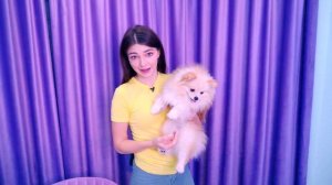 5 ПРАНКОВ НАД СОБАКОЙ