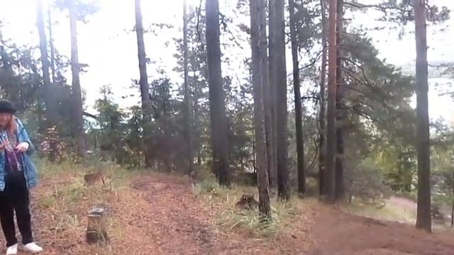 Осень рыжая - Автор музыка и поёт Олег Безъязыков смотреть онлайн