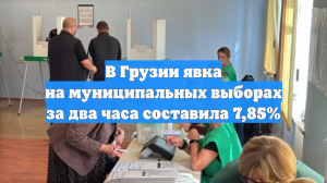 В Грузии явка на муниципальных выборах за два часа составила 7,85%