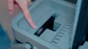 КУПАЮ В ВАННОЙ КОШКУ И СОБАКУ С ЁЖИКОМ | ГЕНЕРАЛЬНАЯ УБОРКА ДОМА С ПИТОМЦАМИ - ZETTER