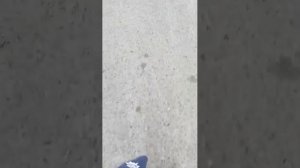 хщ