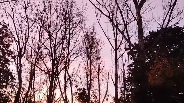 Цикл восходных видео 1 октября 2025г смотреть онлайн